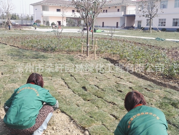 丹陽(yáng)沃特施工