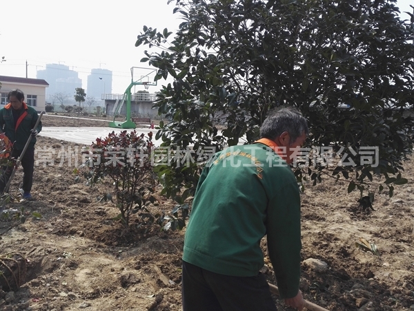 丹陽(yáng)沃特施工