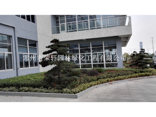 中興西田施工6個(gè)月