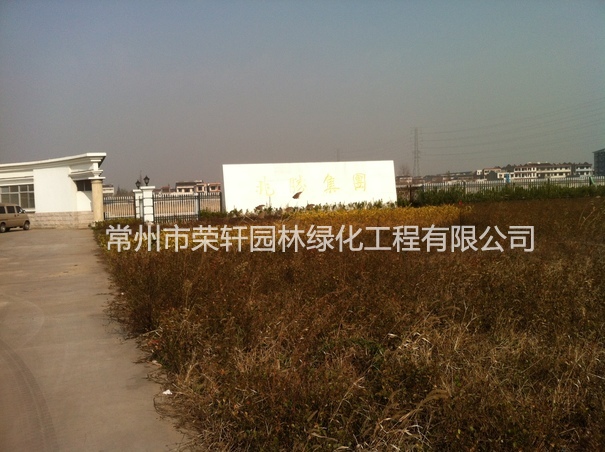 兆勝集團(tuán)施工