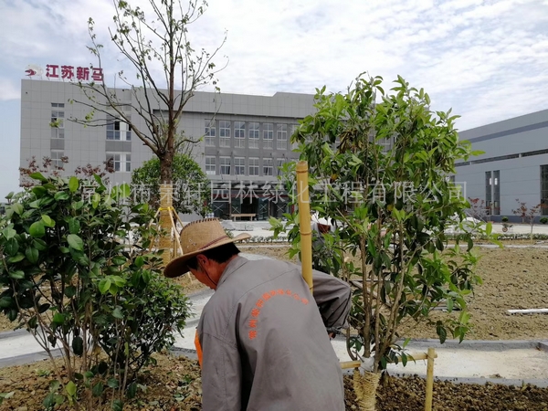 常州新馬干燥施工