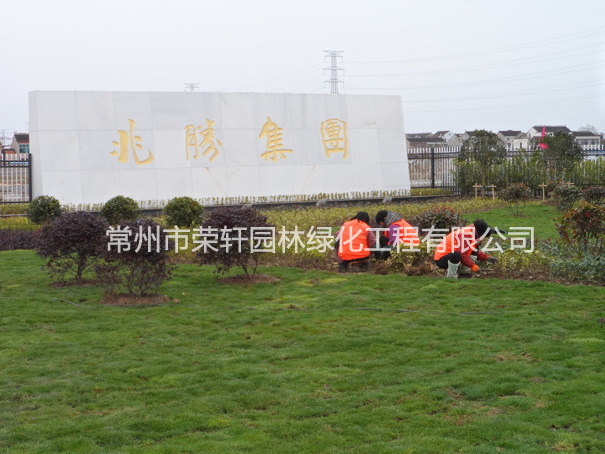 兆勝集團(tuán)施工