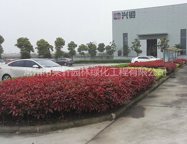 溧陽中興西田養(yǎng)護(hù)