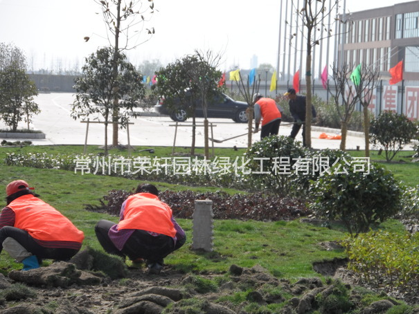 兆勝集團(tuán)施工