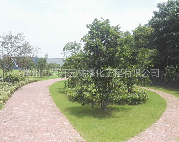 愛科（常州）機械養(yǎng)護