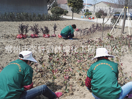 丹陽(yáng)沃特施工