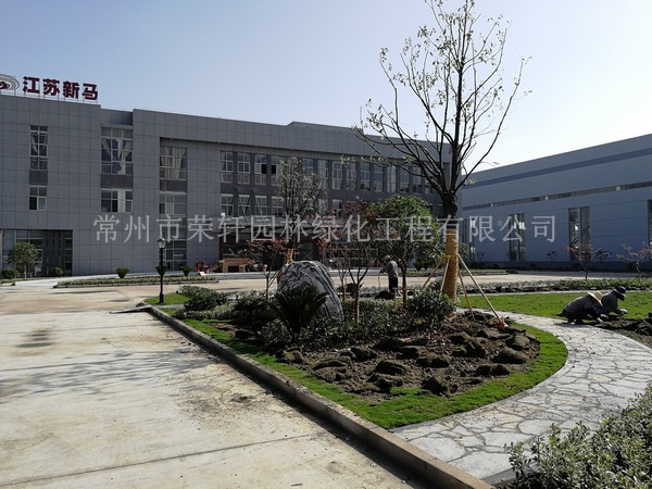 常州新馬干燥施工