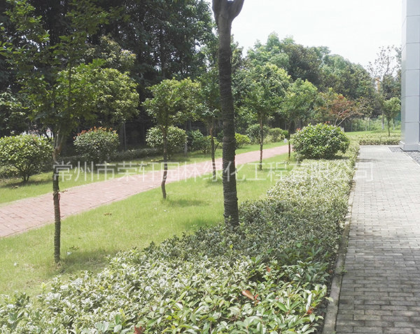 愛科（常州）機械養(yǎng)護