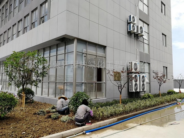 常州新馬干燥施工