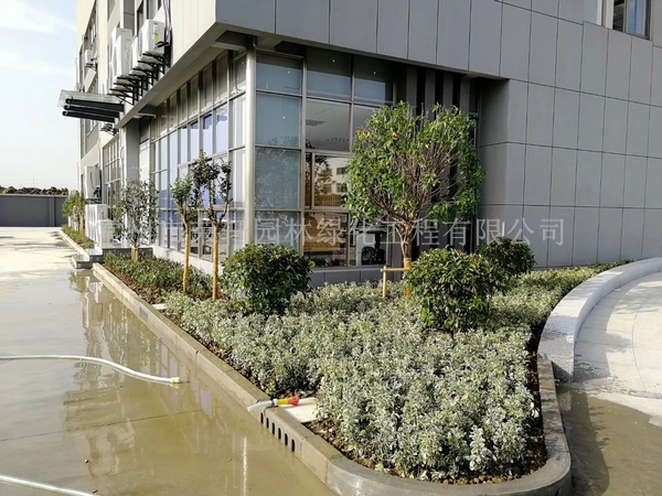 常州新馬干燥施工