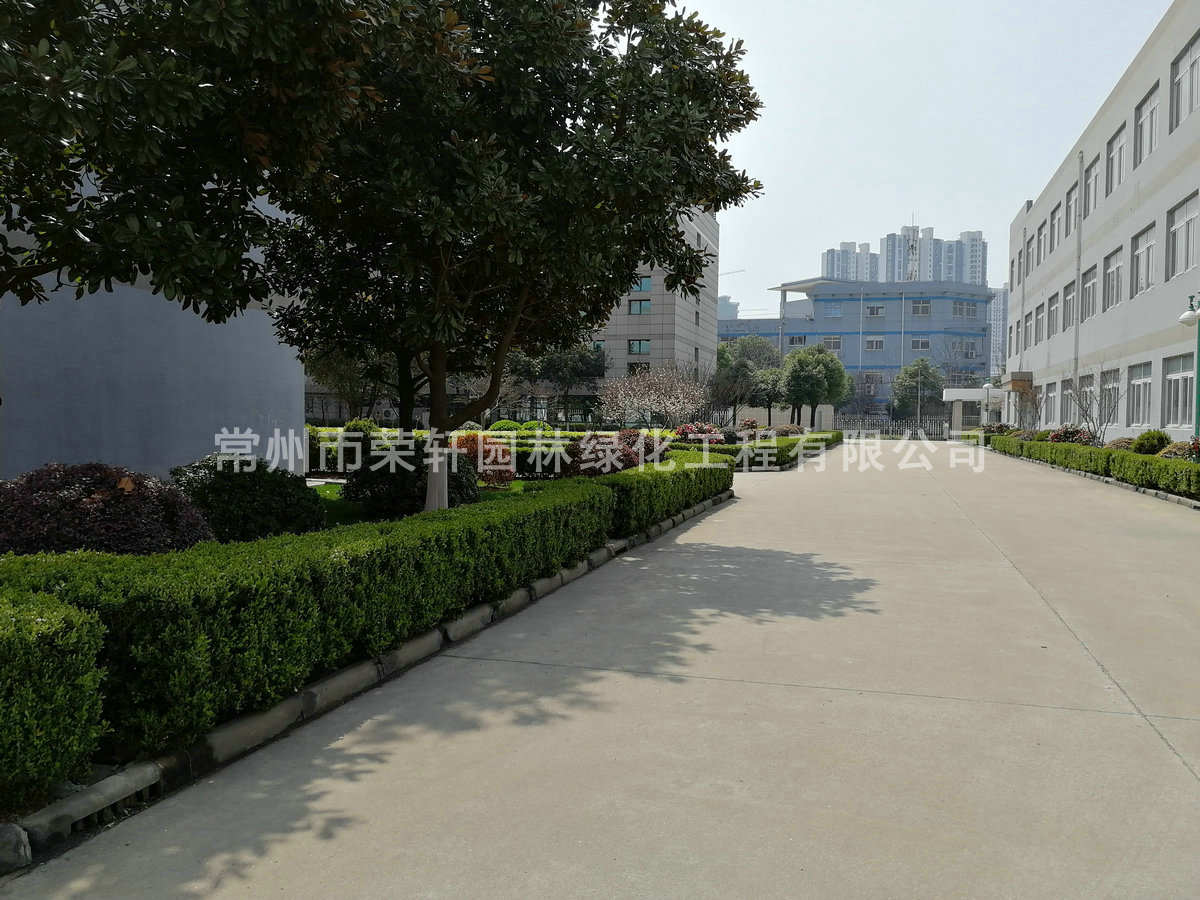 常州富林中電養(yǎng)護