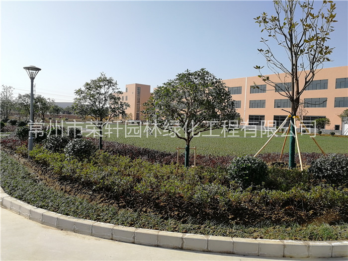 常州西瑪特電器養(yǎng)護