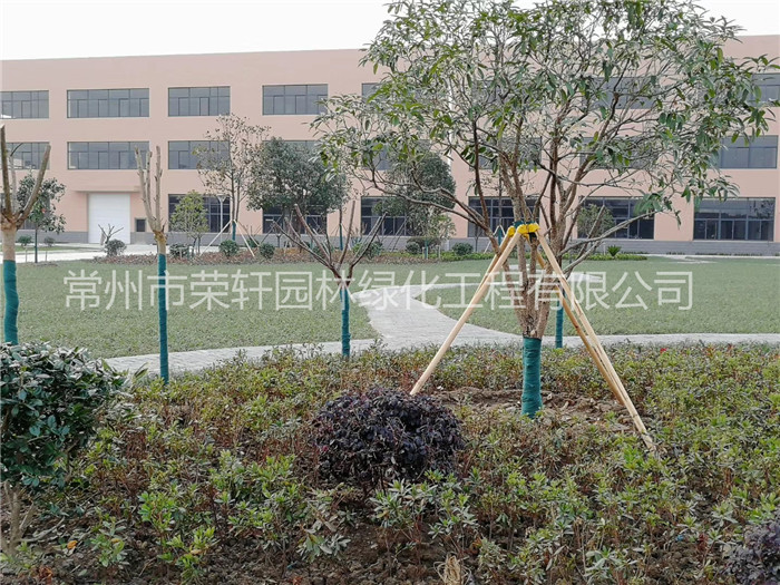 常州西瑪特電器養(yǎng)護