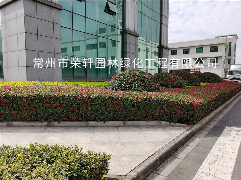 順風(fēng)光電養(yǎng)護(hù)