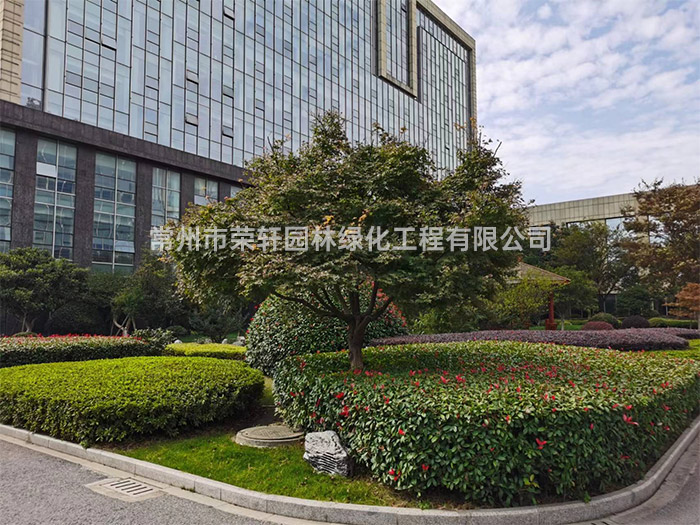 常州新譽集團養(yǎng)護(hù)