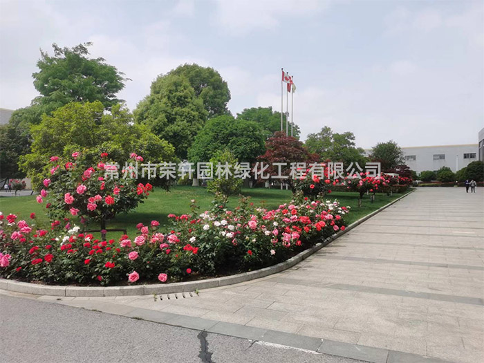 常州新譽集團養(yǎng)護(hù)