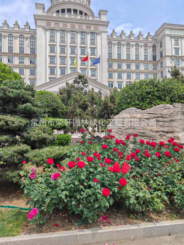 國茂減速機集團有限公司