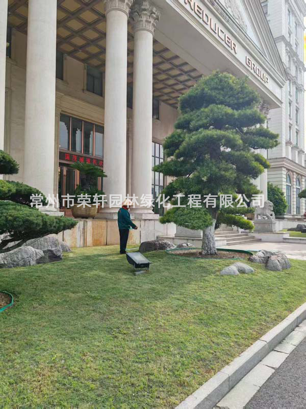 國茂減速機集團有限公司